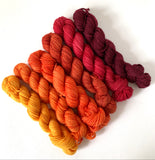 Quintet Gradient: Cabernet
