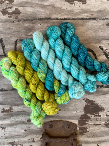 Quintet Gradient: Frolic