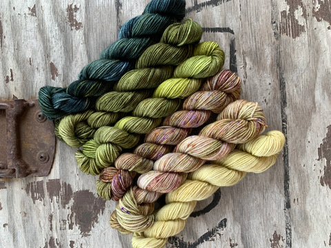 Quintet Gradient: Lichen