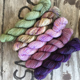 Quintet Gradient: Wisteria