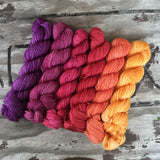 Quintet Gradient: Currant