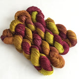 Limited Edition Silk Fingering - Chartreuse and Plum